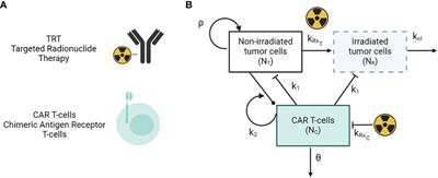 Designing combination therapies for cancer treatment: application of a mathematical framework combining CAR T-cell immunotherapy and targeted radionuclide therapy